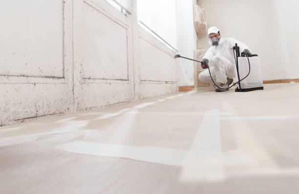 24/7 Emergency Basement Mold Remediation experts in Colts Neck, NJ