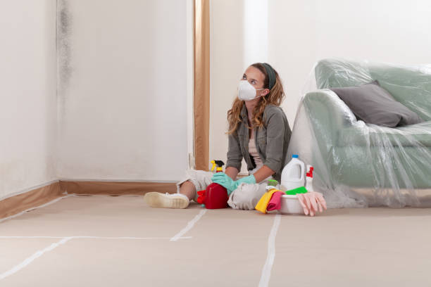 Reliable Basement Mold Remediation contractor in Colts Neck, NJ by Mold Remediation HQ